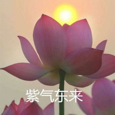 赤月争霸手机版下载